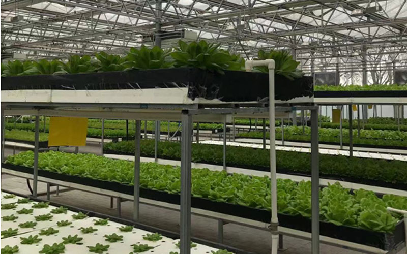 asiagame(中国集团)官方网站